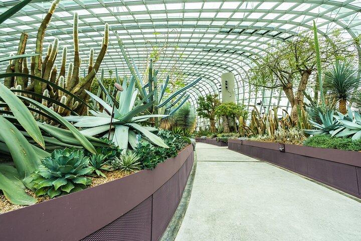A Self Guided Tropical Sojourn of Singapore Hidden Enclaves