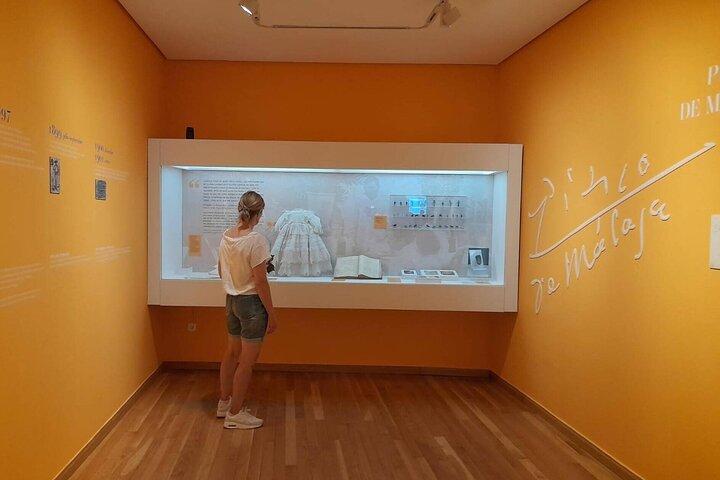 Malaga: Picasso Birthplace Museum Ticket with Digital Audio Guide