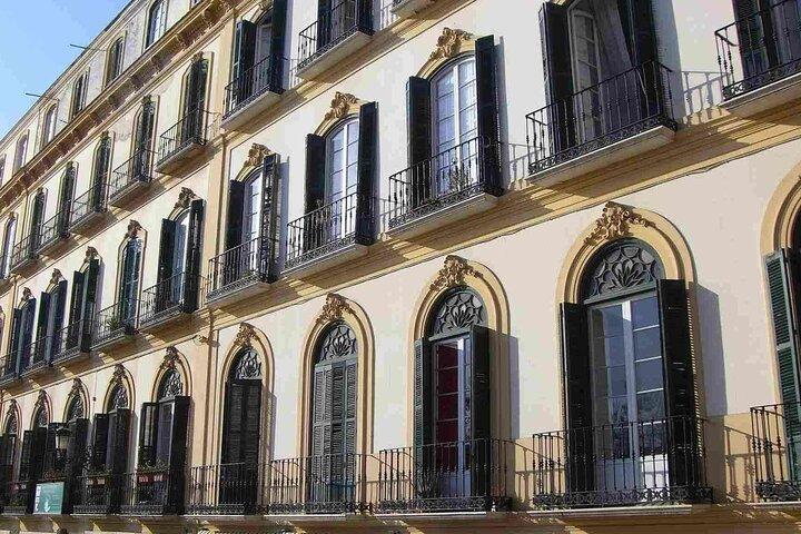 Malaga: Picasso Birthplace Museum Ticket with Digital Audio Guide