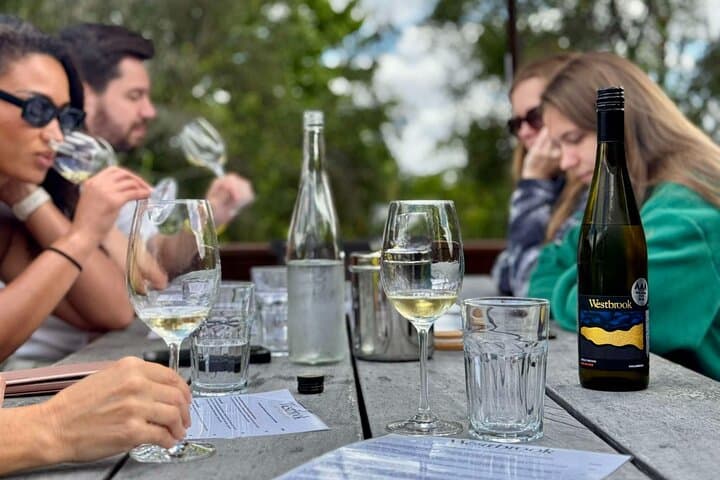 Auckland West Vineyard Tour with lunch and tastings incl