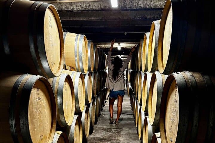 Auckland West Vineyard Tour with lunch and tastings incl