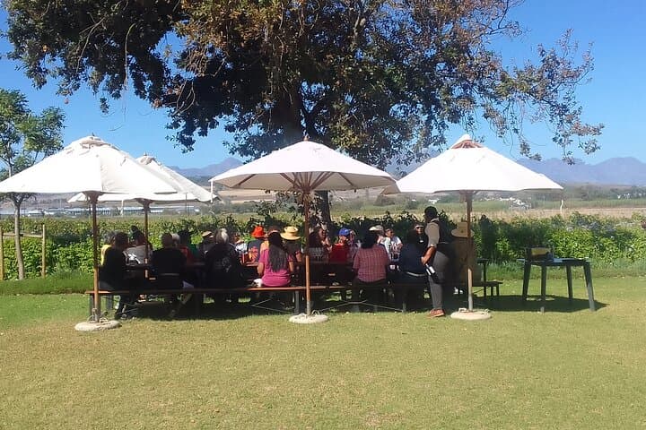 Taste Franschhoek Journey