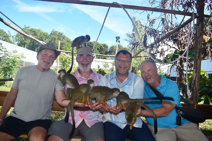 Monkey Home Tour and Damajagua waterfalls in Puerto Plata.