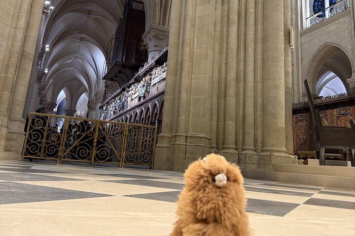 Paris Private Guided Walking Tour with Notre-Dame Visit