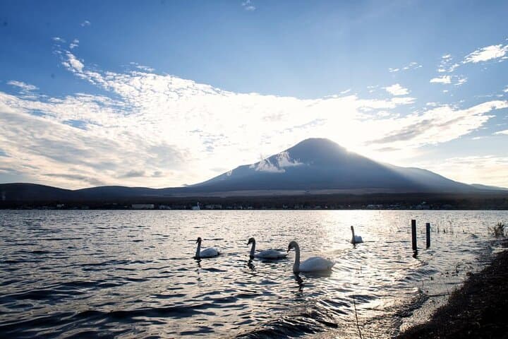 Mount Fuji and Lake Kawaguchi Private Day Trip From Tokyo