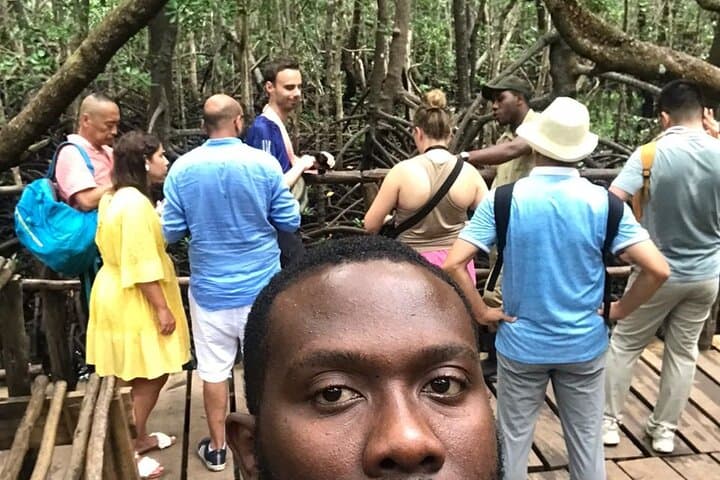 Jozani Forest