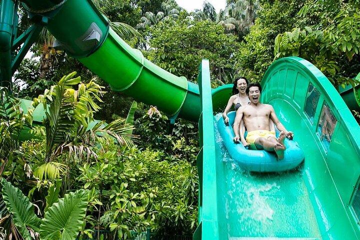 Sentosa cable car skyhelix cove waterpark wings of show transfer