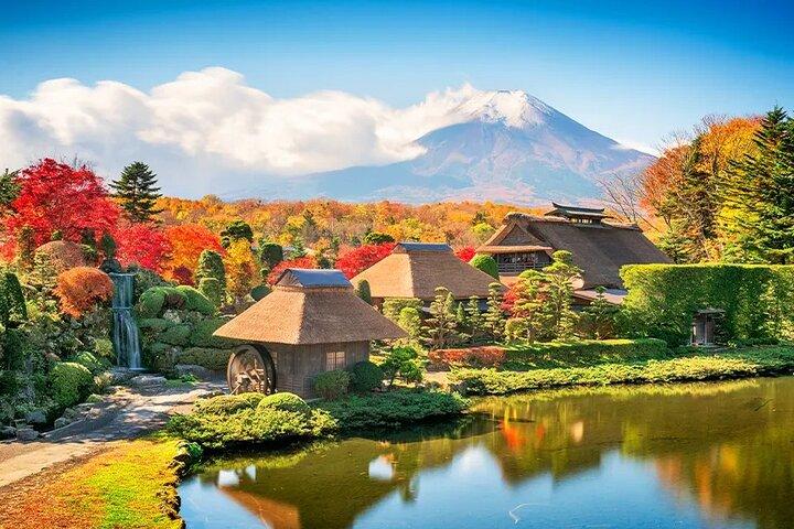 Mt. Fuji, Hakone, Owakudani, Lake Yamanaka Tour (Hakone Ropeway)