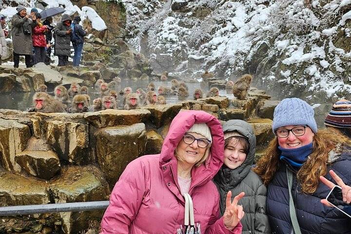 Snow Monkeys, Nagano