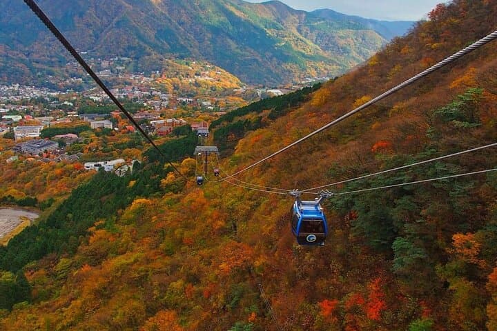 Hakone Private Day Trip with Driver From Tokyo