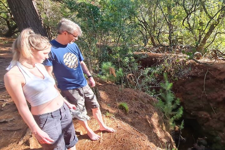 Explore the wild side of Kirstenbosch Gardens