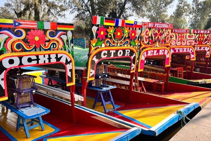 3 in 1 Special Price Museum Frida Khalo Xochimilco and Coyoacan