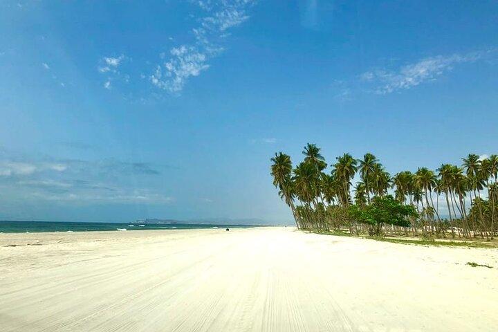 Salalah City Tour Discover the Oman’s Coastal Gem