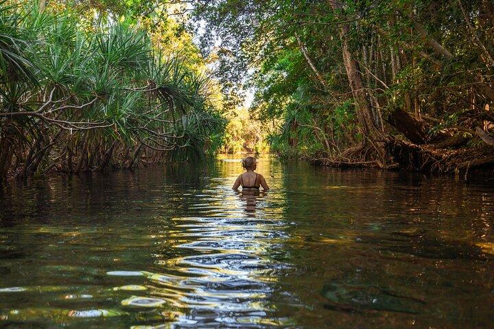 ETHICAL ADVENTURES - 1 Day premium Litchfield tour, small group