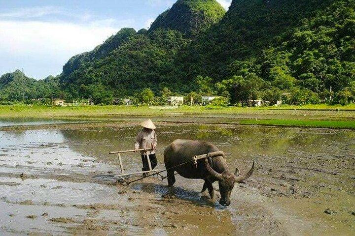 Ninh Binh 1-Day Motorbike Tour Explore Highlights & Hidden Gems