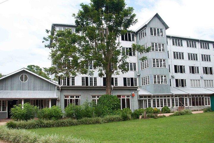 Kandy and Tea Tasting Day Trip from Colombo