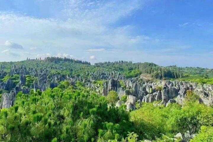 Stone Forest + Yiliang Roast Duck + Kunming City Private Tour