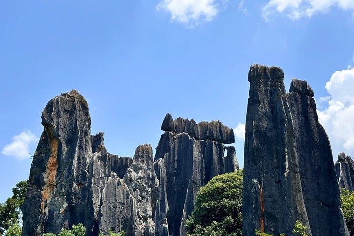 Stone Forest + Yiliang Roast Duck + Kunming City Private Tour