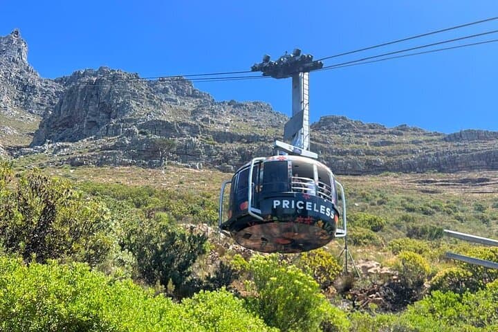 Exclusive Full Day Cape Town City Sightseeing Experience Tour