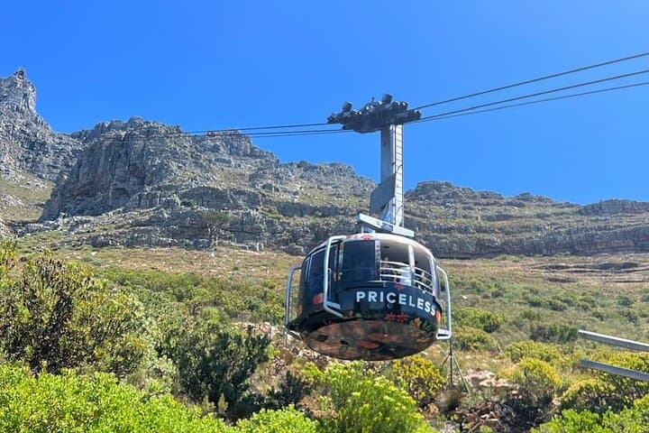 Exclusive Full Day Cape Town City Sightseeing Experience Tour
