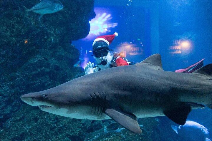 Duo SEA LIFE and Madame Tussauds Ticket in Bangkok