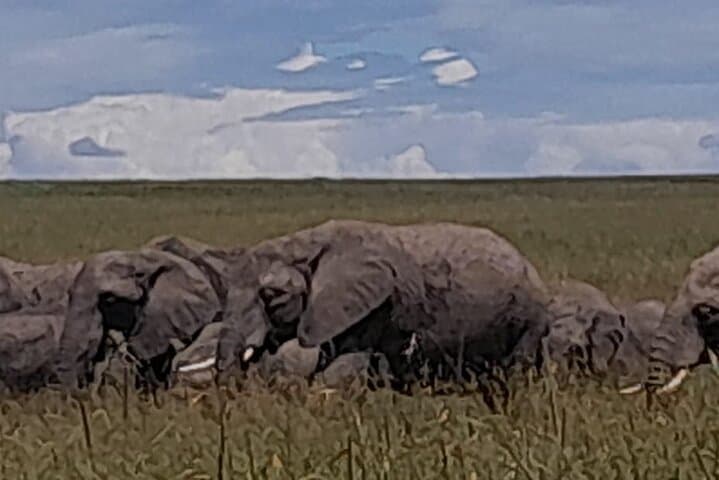 3 Days Amboseli Private Safari Tour