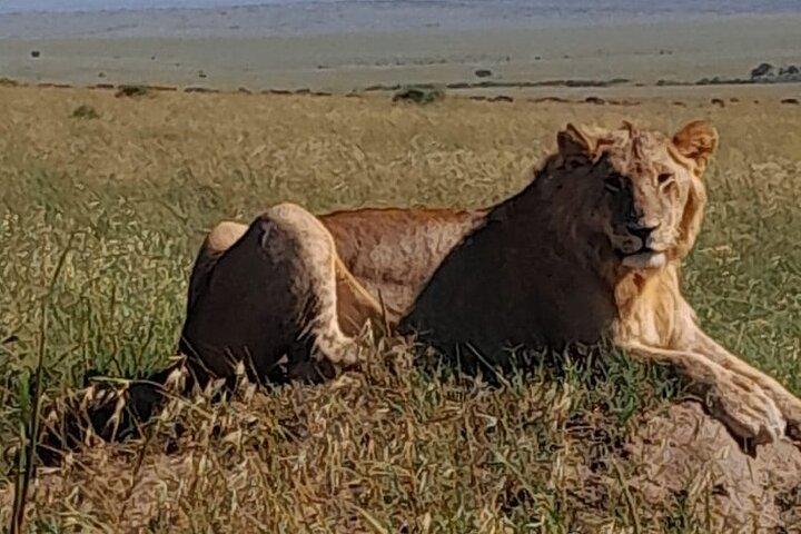3 Days Amboseli Private Safari Tour