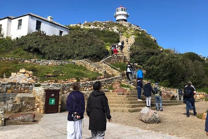 Private Table Mountain, Cape Point and Wine Tasting Tour