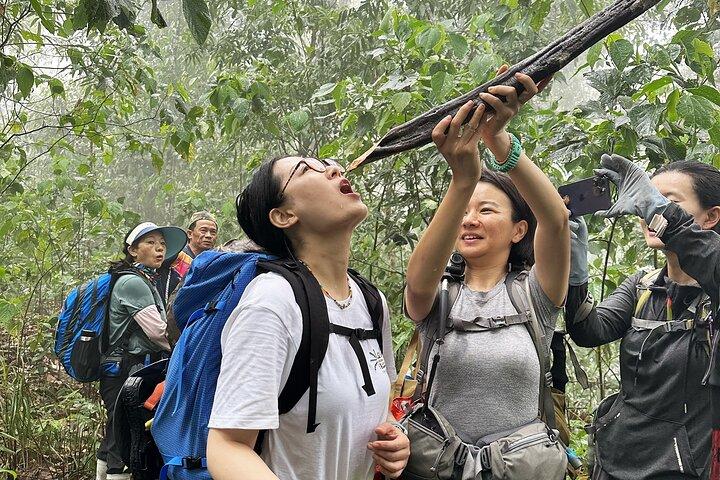 3 Days Multi Adventure in Nam Ha NPA: 2 Days Trek and 1 Day Kayak