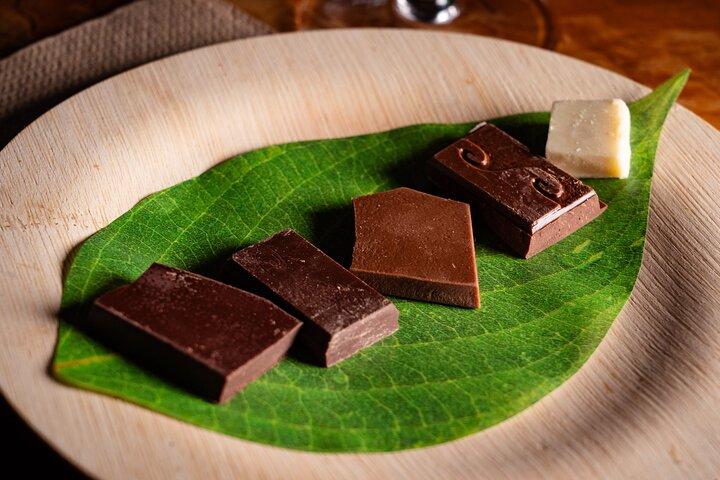 Craft Chocolate Tasting
