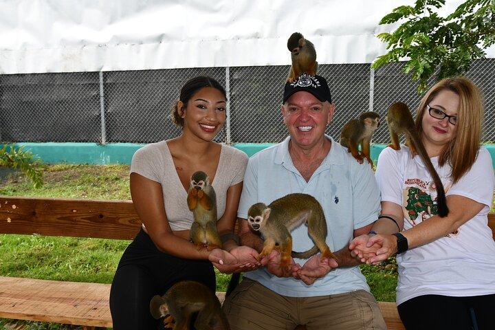 Monkey Home Tour and Damajagua waterfalls in Puerto Plata.