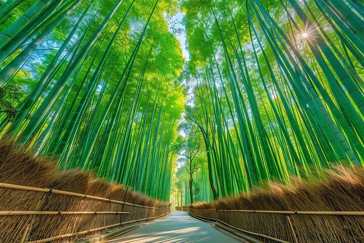 Kyoto Full Day Sightseeing Tour from Osaka or Kyoto