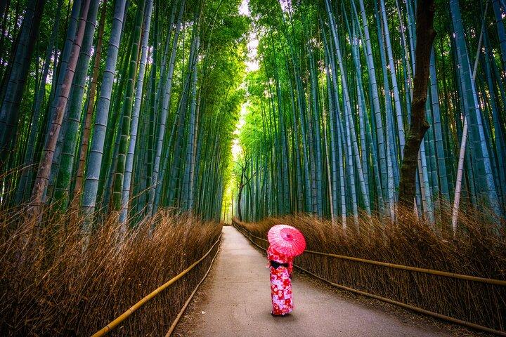 Osaka/Kyoto: Arashiyama, Fushimi Inari & Nara Park Day Trip