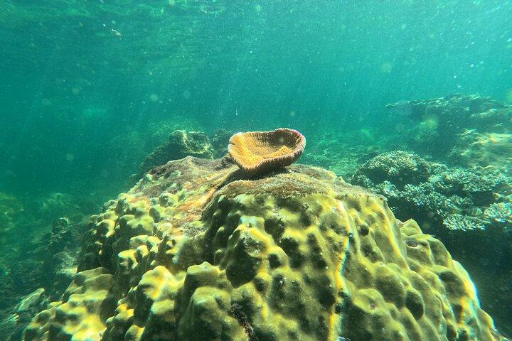 Phu Quoc: Snorkeling and Island Hopping By Speedboat with Lunch