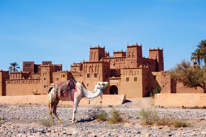 Private Day Trip Ait Benhaddou and Ouarzazate From Marrakech