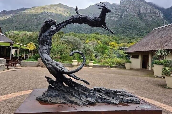 Kirstenbosch Botanical Gardens and Wine Tasting in Constantia