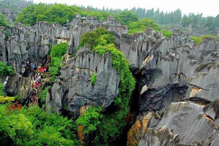 Stone Forest, Kunming