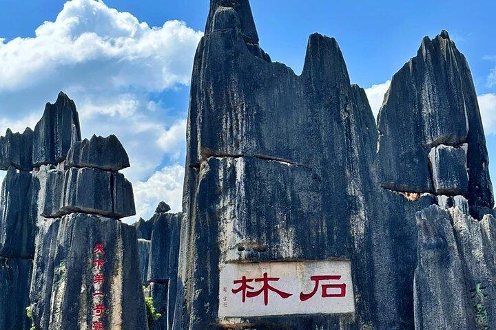 Stone Forest + Yiliang Roast Duck + Kunming City Private Tour