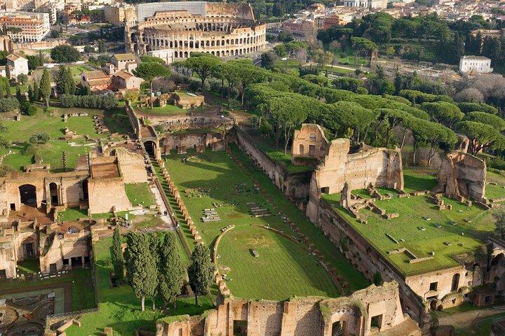 Colosseum,Palatine Hill & Roman Forum with Audio Guide App
