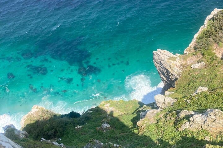 Cape Town: Peninsula, Cape of Good Hope and Penguins Tour