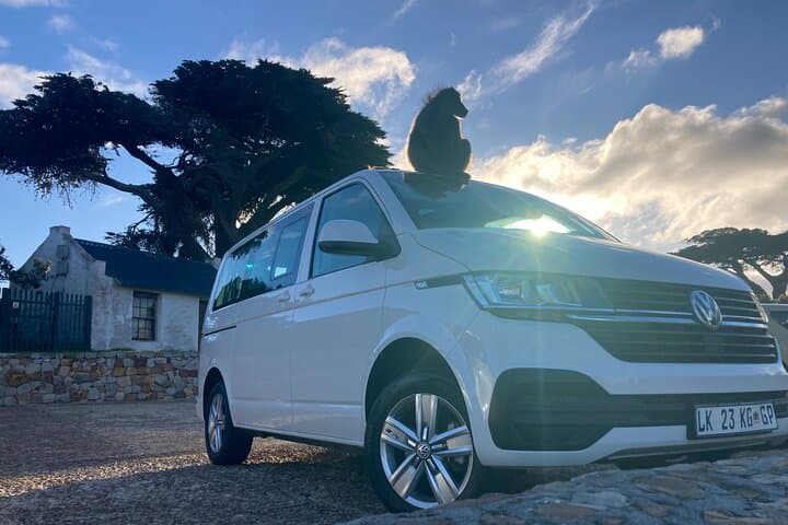 Cape Town: Peninsula, Cape of Good Hope and Penguins Tour