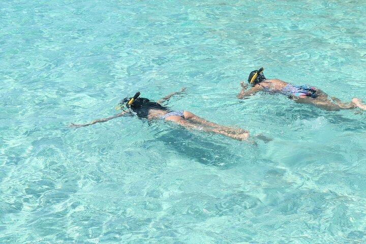 TOP 10 Private Capt Pontoon to Crab Island Choose 3,4,5, or 6 Hr