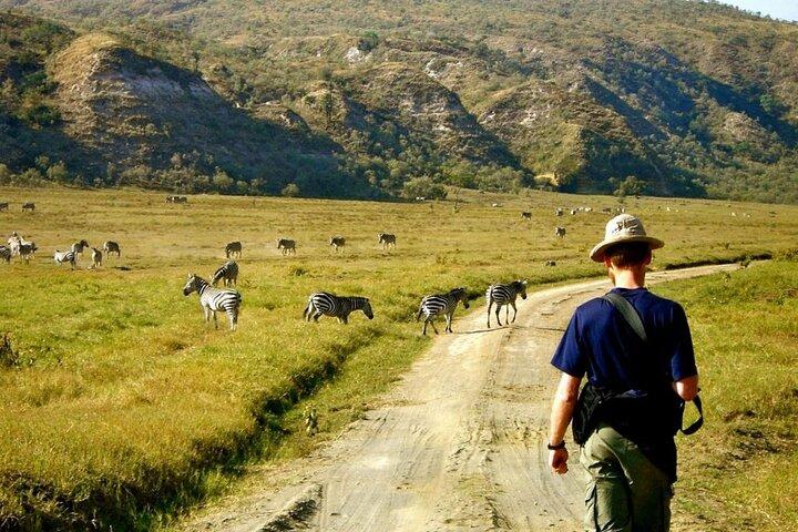 Guided Day Tour Safari of Parks Lake Naivasha and Hells Gate