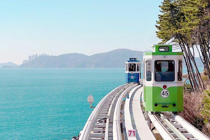 Colors of Busan: Sky Capsule, Authentic Local Food & Night Views