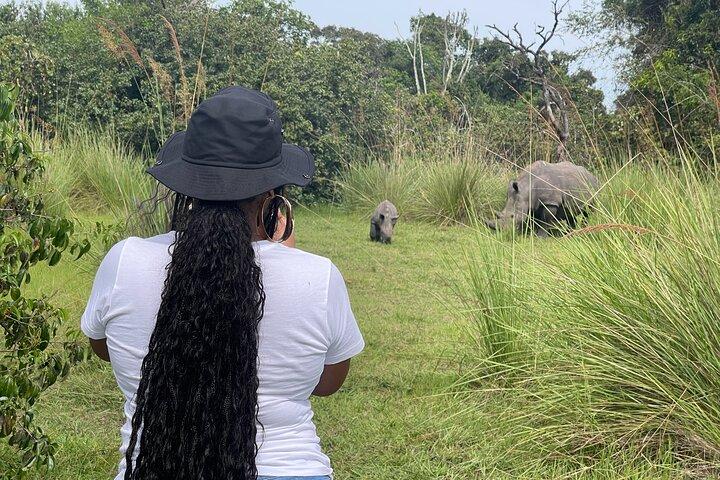 Day Tour Of Ziwa Rhino Sanctuary and Wildlife Ranch - ZIWA RHINO TREKKING