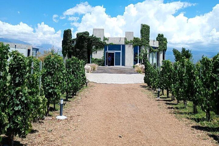 Uco Valley Wine Experience - Private - The Best Wine Tour & Lunch
