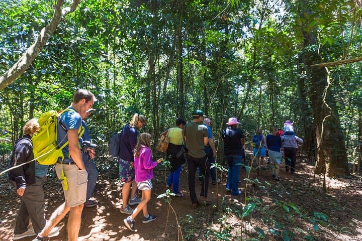 Kiambethu Tea Farm Tour and Lunch From Nairobi