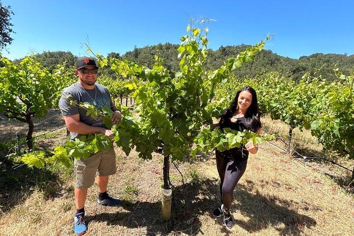 Sonoma Wine Country Electric Trike & Wine Tour - 3 hours