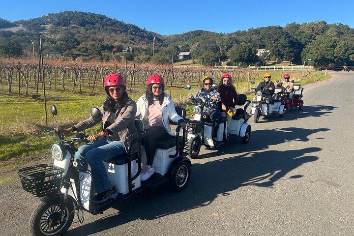 Sonoma Wine Country Electric Trike & Wine Tour - 3 hours