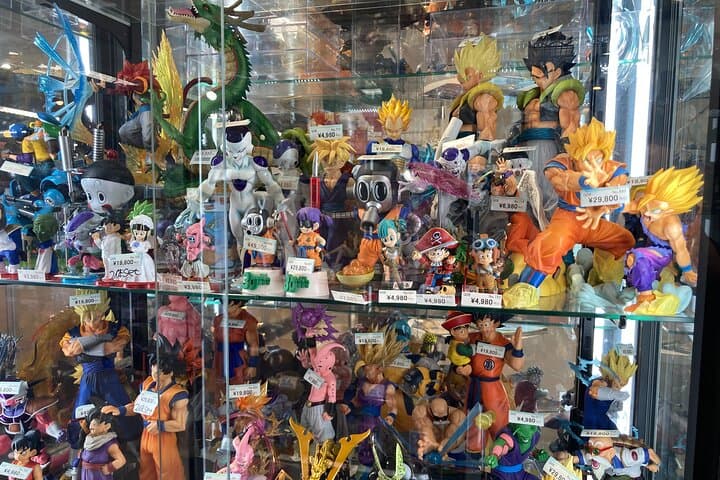Tokyo Akihabara Anime Manga Video Games and Hidden Gems Tour